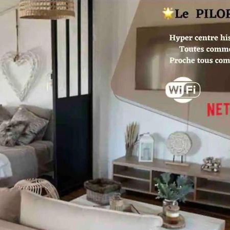 Le Pilori - Centre Historique, En Face Du Musee Du Pilori, A 2Mn A Pied De L'Hyper Centre Et Proche Toutes Commodites, Wifi-Netflix Niort Luaran gambar