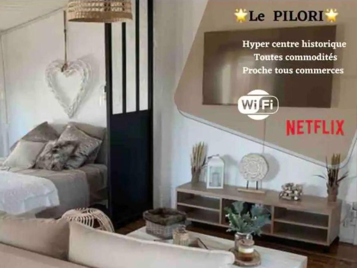 Le Pilori - Centre Historique, En Face Du Musee Du Pilori, A 2Mn A Pied De L'Hyper Centre Et Proche Toutes Commodites, Wifi-Netflix Niort Luaran gambar